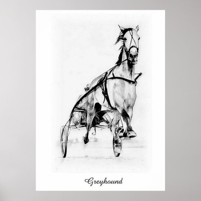 Póster Greyhound (Frente)