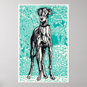 Poster Greyhound (1912)