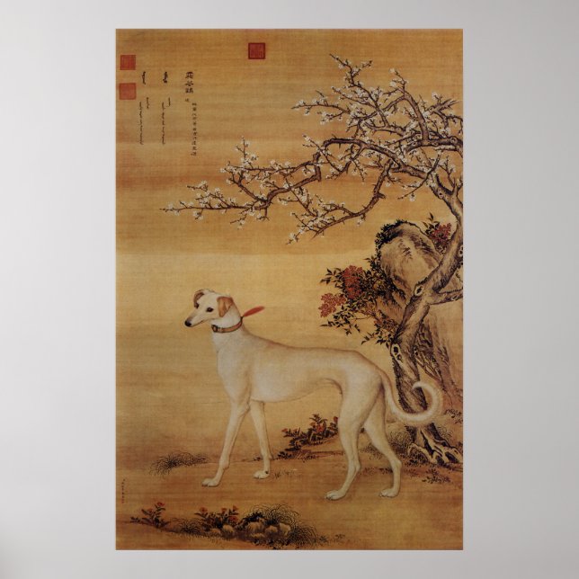 Poster Greyhound Branco Vintage sob Flores (Frente)