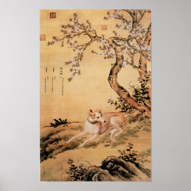 Poster Greyhound Chinês Antigo sob Flores de Pessegueiro (Frente)