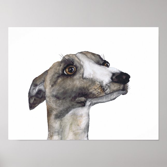Poster GREYHOUND g918 (Frente)