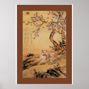 Poster ~Greyhound Giuseppe Castiglione do lobo de