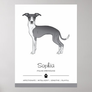 Poster Greyhound Italiano Azul E Branco Com Texto Persona