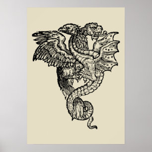 Póster Griffon & Dragon