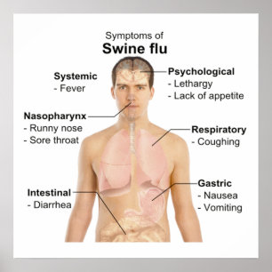 Poster Gripe dos suínos