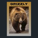 Poster Grizzly<br><div class="desc">Vejam esta legal imagem de um ursinho. Esse mestre da floresta parecia excelente em um quarto ou parede de toca. Você pode comprar este poster de urso pardo na minha impressão a pedido da loja. Tenha um dia maravilhoso,  e como sempre,  relaxe e aproveite.</div>