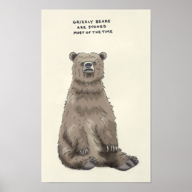 Póster grizzly bear trivia (Frente)