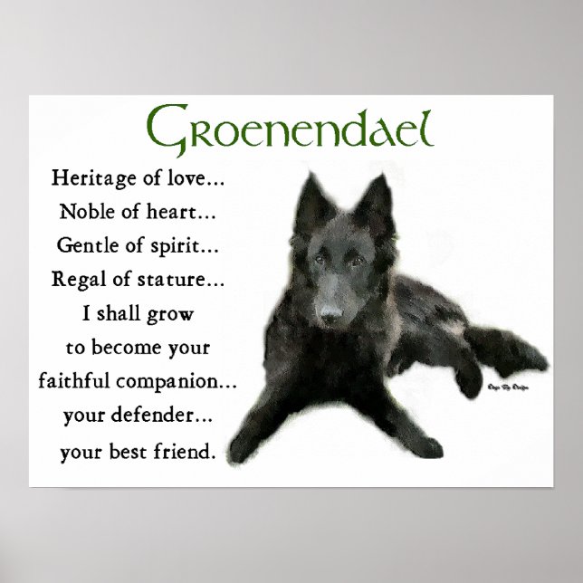 Póster Groenendael Belga Sheepdog Gifts (Frente)
