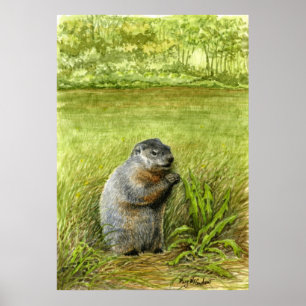 Poster Groundhog Sentado na Comida de Grama