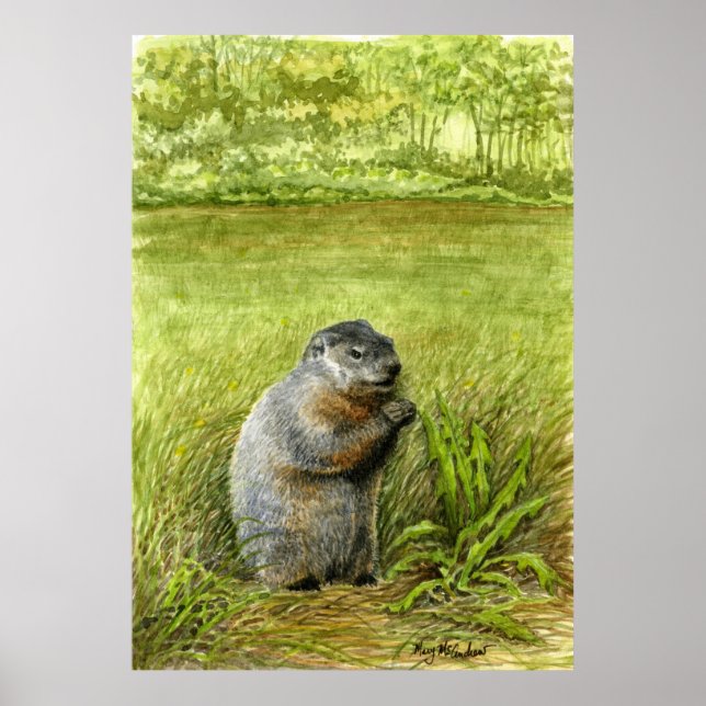 Poster Groundhog Sentado na Comida de Grama (Frente)