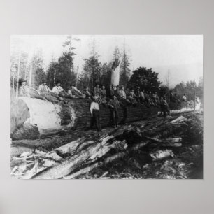 Poster Group of Lumberjacks on Large Log Photograph