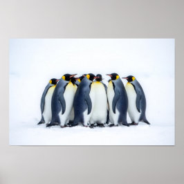 Poster Group of Penguins