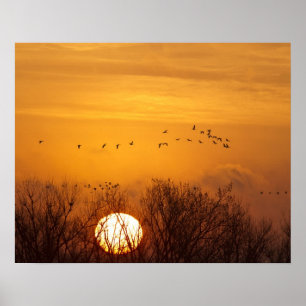 Poster Grous-de-sandália silhuetados contra o sol nascent