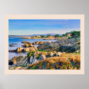 Poster Grove do Pacífico na Baía de Monterey