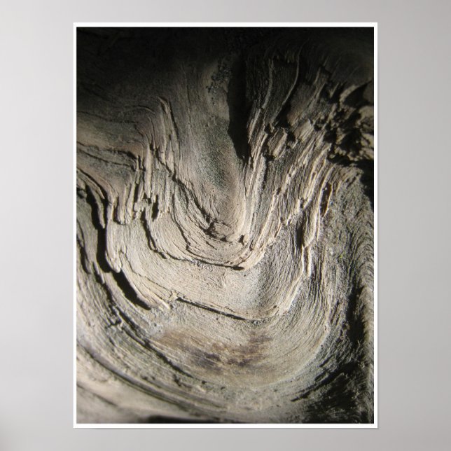 Poster Grove dos Patriarcas (Frente)