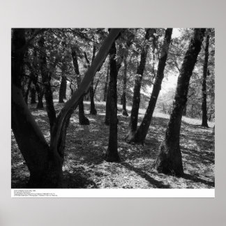 Poster Grove na estação de Hopland, 1966