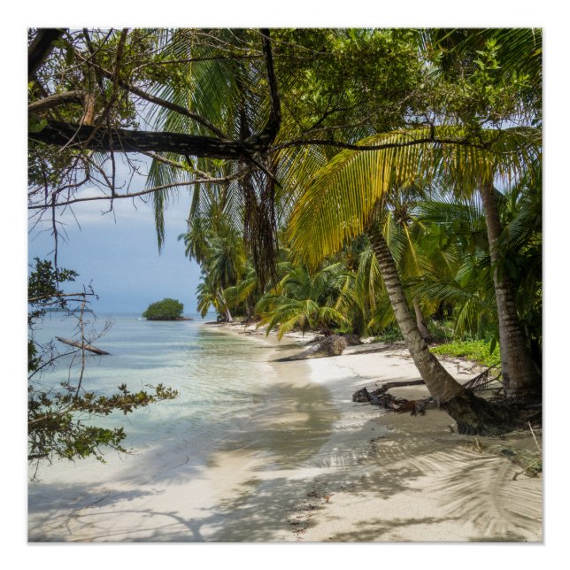 Póster Grove tropical (Frente)