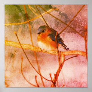 Poster Grunge Abstrato de Bluebird