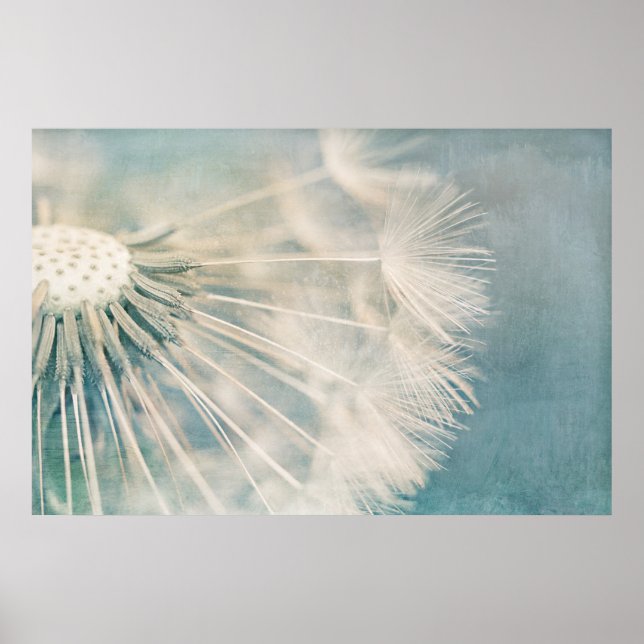 Poster Grunge Dandelion (Frente)