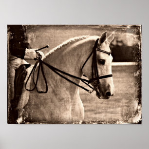 Póster Grunge do cavalo do adestramento