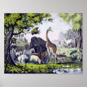Poster Grupo de animais