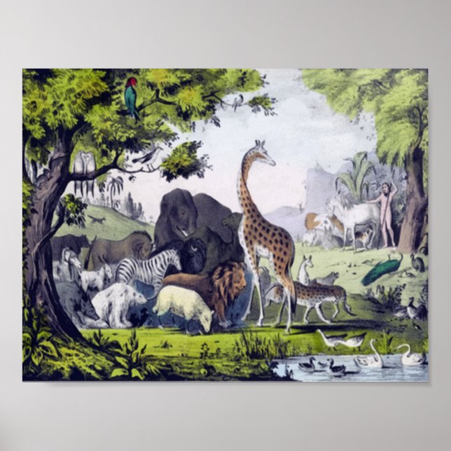 Poster Grupo de animais (Frente)