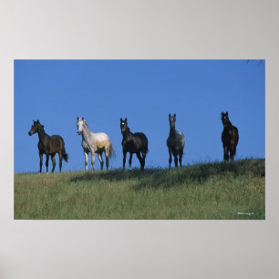 Poster Grupo de Árabes