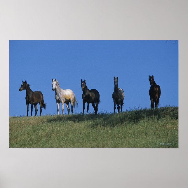 Poster Grupo de Árabes (Frente)