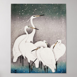 Poster Grupo de Egrets