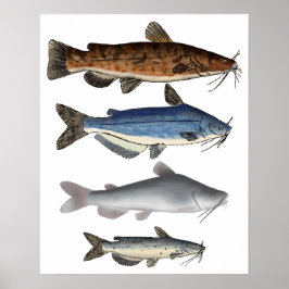 Poster Grupo de pesca da América do Norte