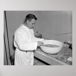 Poster Grupo fresco de vacina da pneumonia: 1937