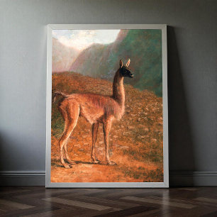 Poster Guanaco (ca. 1848) pintura de Jacques–Laurent Ag