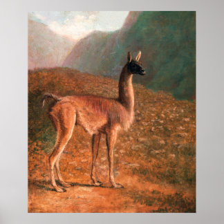 Poster Guanaco (ca. 1848) pintura por Jacques–Laurent Ag