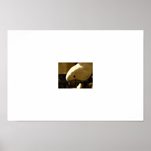 Póster Guarda-chuvas (Frente)