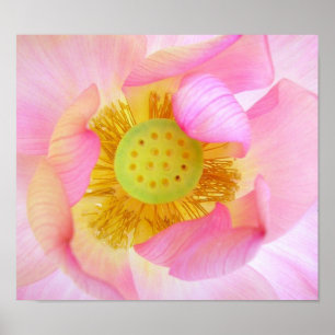 Poster Guardado delicadamente