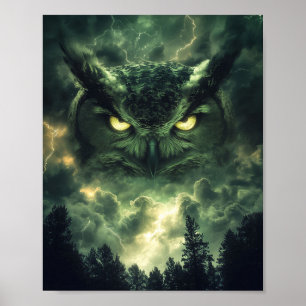 Poster Guardião da Coruja da Tempestade