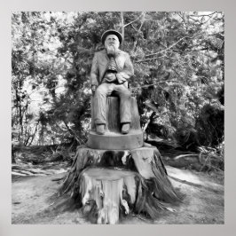 Poster Guardião da Floresta