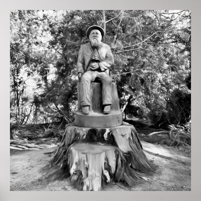 Poster Guardião da Floresta (Frente)