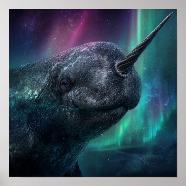 Poster Guardião Místico Narwhal - Noite Ártico Aurora (Frente)