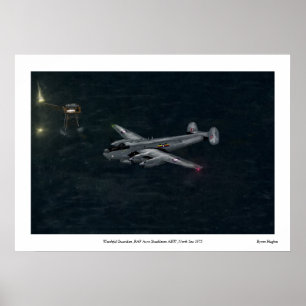 Póster Guardião vigilante