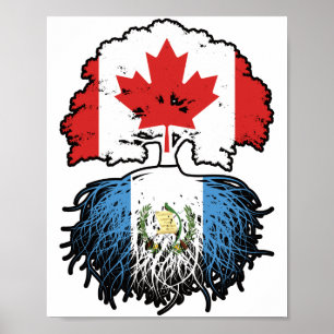 Poster Guatemala: Guatemala, Canadá, raízes de árvores