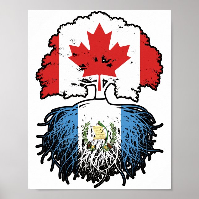Poster Guatemala: Guatemala, Canadá, raízes de árvores (Frente)