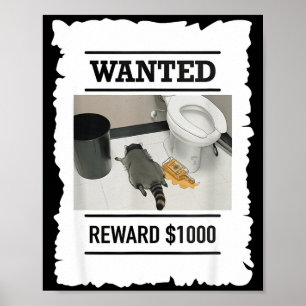 Poster Guaxinim Bêbado Engraçado Recompensa Desejada $100