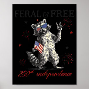 Poster Guaxinim feral mas bandeira do aniversário de 250 