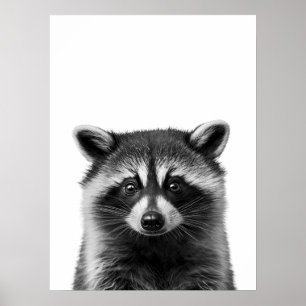 Poster Guaxinim Floresta Moderno Retrato preto branco