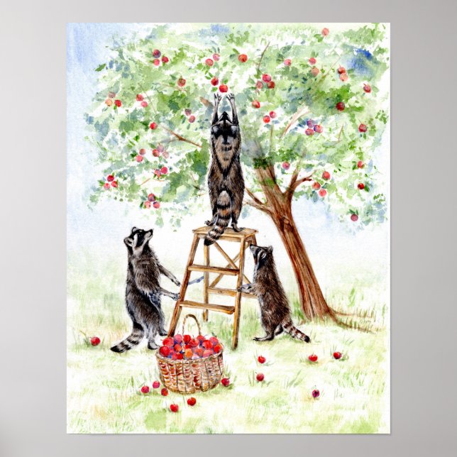 Poster Guaxinins-de-macaco (Frente)