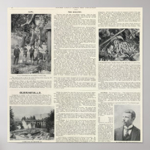 Poster Guerneville, Califórnia