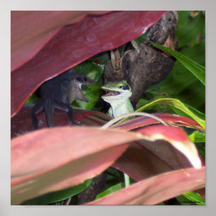 Póster Guerra de Répteis