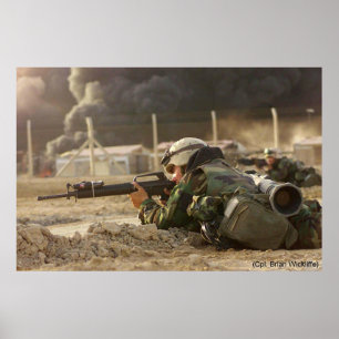 PÓSTER GUERRA DO GRUNHIDO