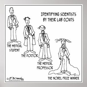 Póster Guia da identificação aos cientistas